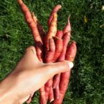 Știrbu Nadia / Iubesc Natural