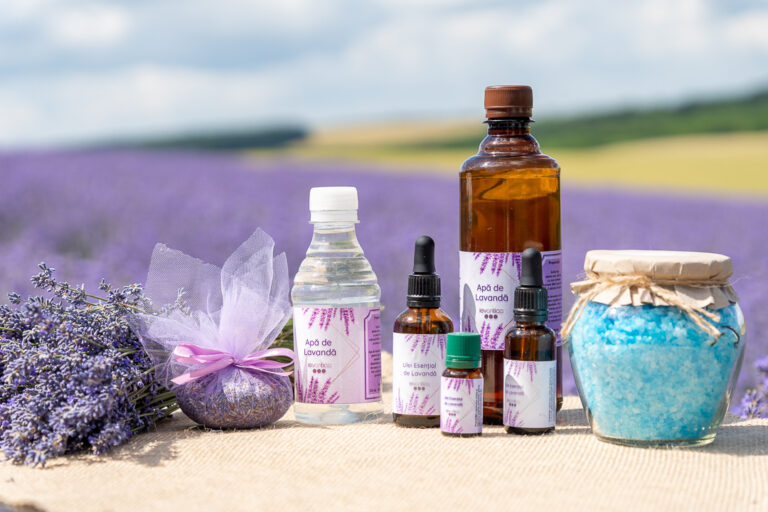 20210704 VUG9163 Maria Bobeica 768x512