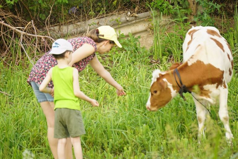 107486766 10223764009594640 6037175229694713831 o Tamara Schiopu 768x512