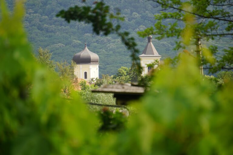 107601074 10223763667266082 7876210534650575489 o Tamara Schiopu 768x512