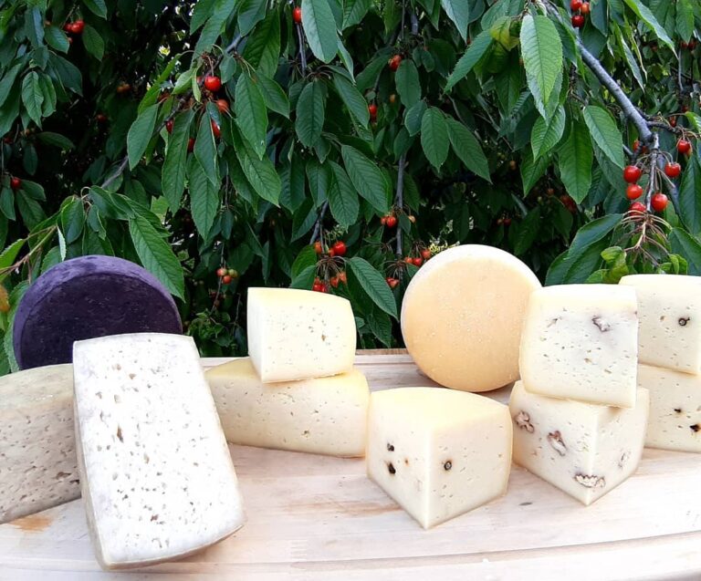 117779114 974527563016683 1614403593035119136 n 768x637