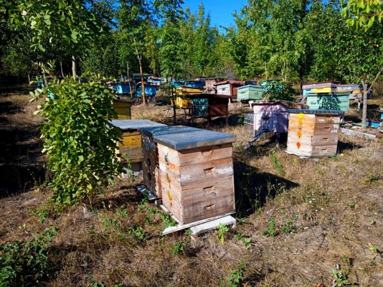 118691265 3147910688665287 6191568879372011544 n Ivan Chiriac 768x576