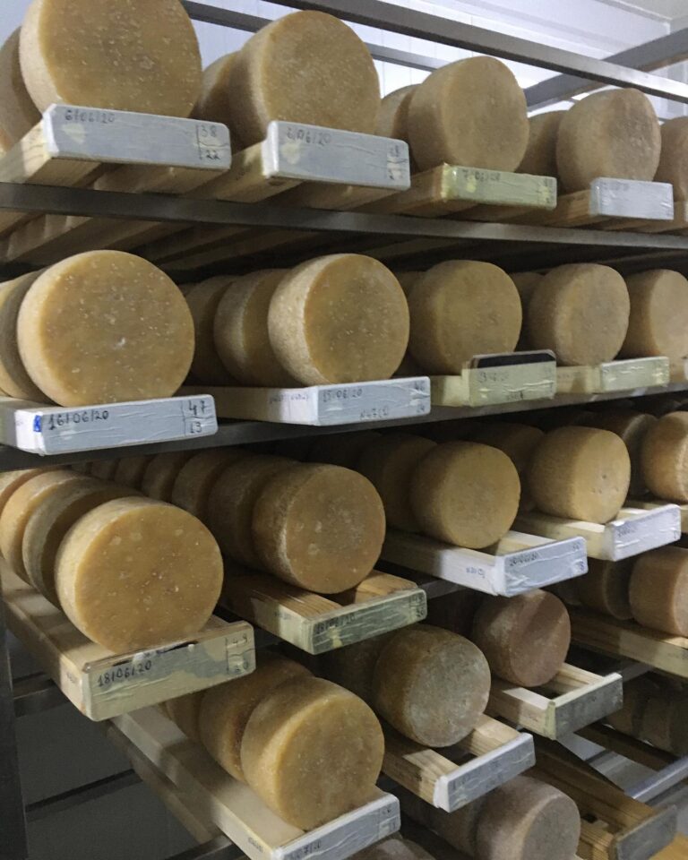 169486308 1147368375732600 5337026917149335316 n 768x960