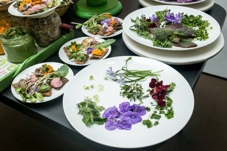 18765624 2039746999636060 9191250232036856647 n 768x512