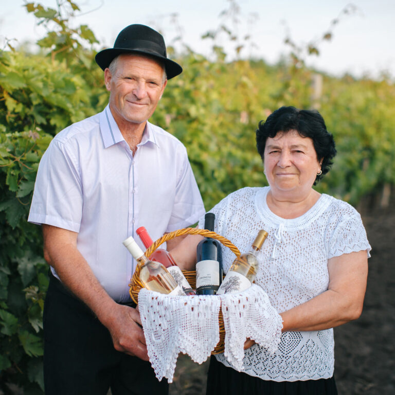 247466549 1327515434385803 2923666696527163110 n 768x768