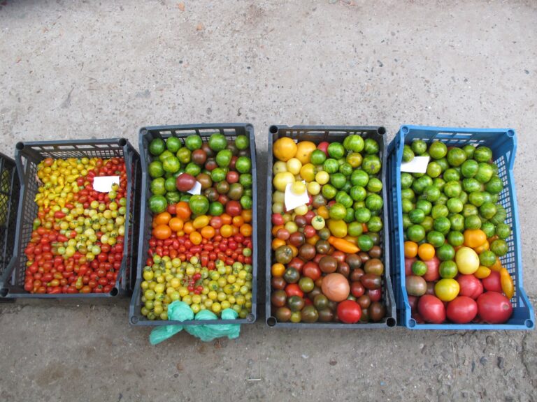 458108 350263415045773 1652595949 o 768x576