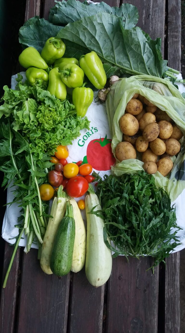 65103768 1757850167694046 7656546097300504576 n 768x1382