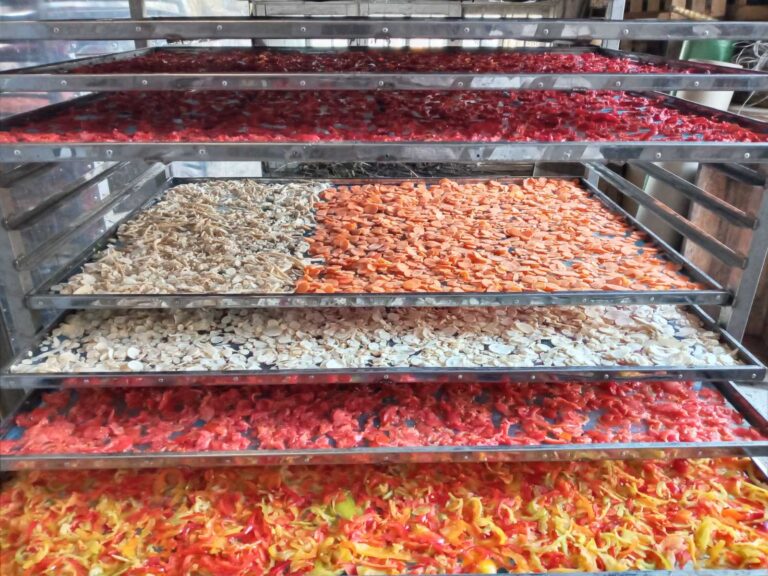 IMG 4e99ec6a3f90220e4967030573a18493 V Angela Bejenari 768x576