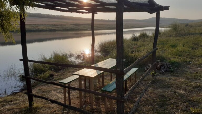 IMG f71fd7caa32bb766a105c3a435550f2b V Cristina Mardari 768x432