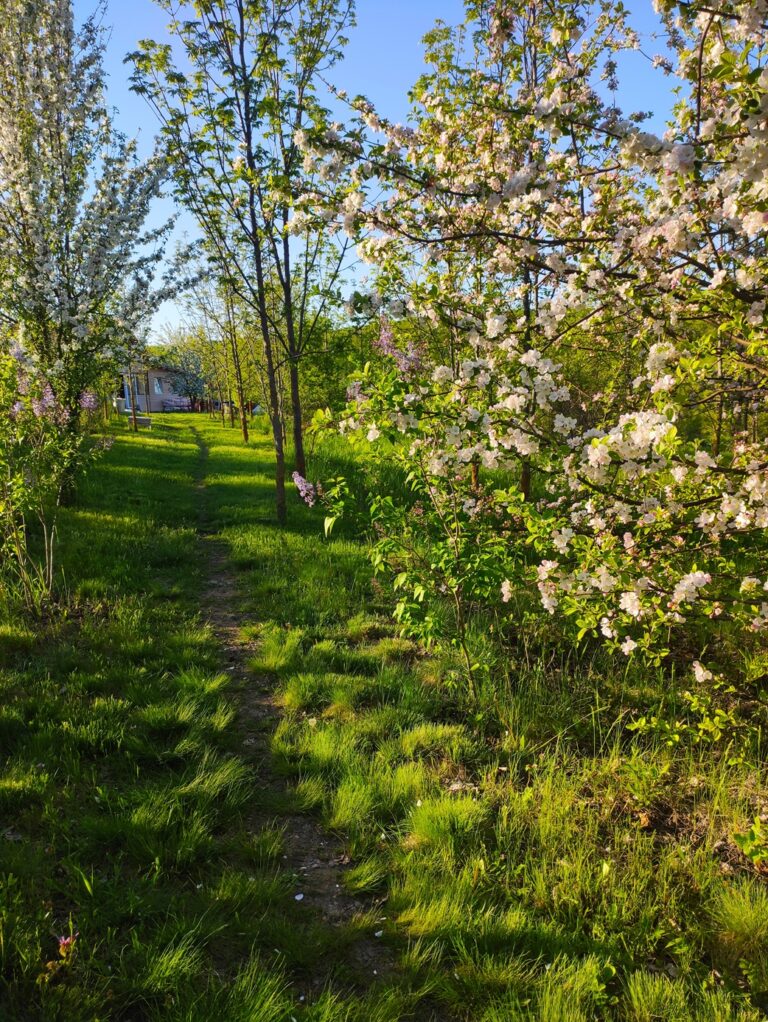 easy foto Ivan Chiriac 768x1022