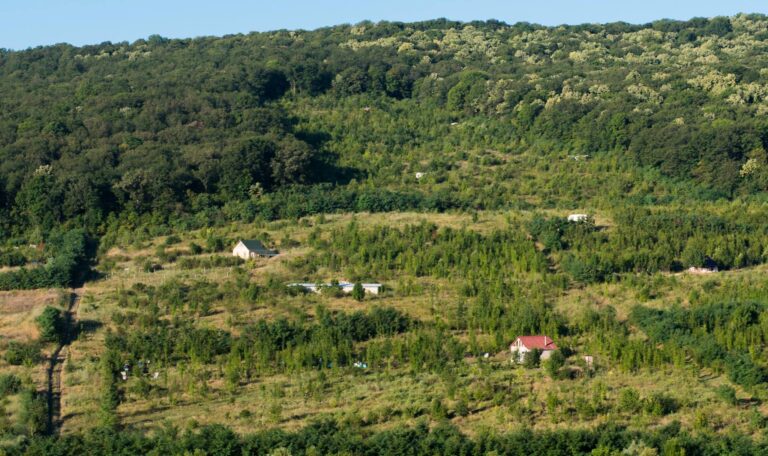 leto2016 chasti59 Ivan Chiriac 768x456