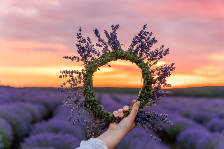 20220625 VUG8749 768x512